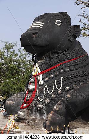 "Stone Nandi statue, Chamundi Hill, Mysore, Karnataka, South India, India, South Asia, Asia" View Large Photo Image Stock Photo - "Stone Nandi statue, Chamundi Hill, Mysore, Karnataka, South India, India, South Asia, Asia". Fotosearch