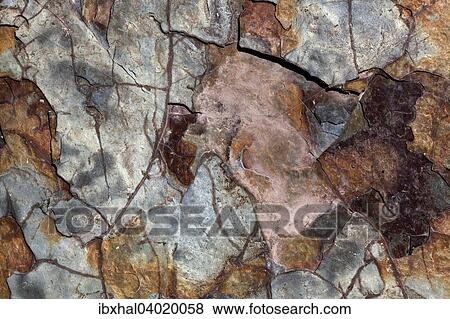 Stock Photo - "Stone, Rock, detail, structures, Glacier National Park, Montana Province, United States, North America". Fotosearch