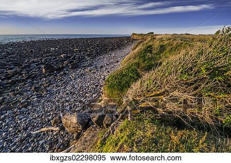 "Stony beach, Cape Egmont, North Island, New Zealand, Oceania" View Large Photo Image Stock Photography - "Stony beach, Cape Egmont, North Island, New Zealand, Oceania". Fotosearch