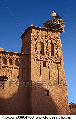 "Stork's nest on the mud buildings of the fortified Berber Ksar of Ait Benhaddou, Sous-Massa-Dra, Morocco, Africa" View Large Photo Image Stock Photograph - "Stork's nest on the mud buildings of the fortified Berber Ksar of Ait Benhaddou, Sous-Massa-Dra, Morocco, Africa". Fotosearch