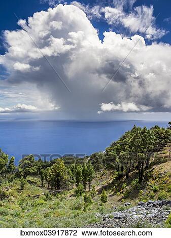 "Storm clouds over the Atlantic Ocean, south coast, La Palma, Canary Islands, Spain, Europe" View Large Photo Image Stock Image - "Storm clouds over the Atlantic Ocean, south coast, La Palma, Canary Islands, Spain, Europe". Fotosearch