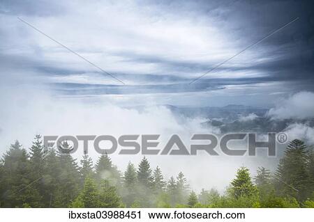 "Stormy atmosphere with fog after heavy rain falls on the Schliffkopf mountain, Black Forest, Baden-Wurttemberg, Germany, Europe" View Large Photo Image Stock Image - "Stormy atmosphere with fog after heavy rain falls on the Schliffkopf mountain, Black Forest, Baden-Wurttemberg, Germany, Europe". Fotosearch