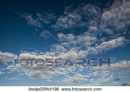 Stratocumulus clouds and blue sky View Large Photo Image Stock Photograph - Stratocumulus clouds and blue sky. Fotosearch