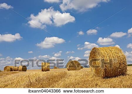 "Straw bales on a harvested field in front of cloudy sky, Palatinate, Rhineland-Palatinate, Germany, Europe" View Large Photo Image Stock Photograph - "Straw bales on a harvested field in front of cloudy sky, Palatinate, Rhineland-Palatinate, Germany, Europe". Fotosearch