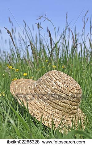 Straw hat lying in a meadow View Large Photo Image Stock Photo - Straw hat lying in a meadow. Fotosearch