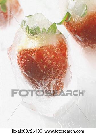 Strawberries in ice View Large Photo Image Stock Photograph - Strawberries in ice. Fotosearch