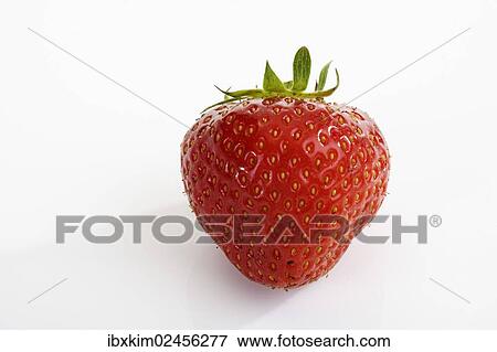 Strawberry (Fragaria) View Large Photo Image Stock Photo - Strawberry (Fragaria). Fotosearch