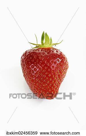 Stock Photo - Strawberry (Fragaria). Fotosearch