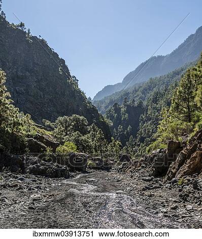 "Stream, Caldera de Taburiente National Park, La Palma, Canary Islands, Spain, Europe" View Large Photo Image Stock Image - "Stream, Caldera de Taburiente National Park, La Palma, Canary Islands, Spain, Europe". Fotosearch