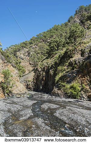 Stock Photo - "Stream, Caldera de Taburiente National Park, La Palma, Canary Islands, Spain, Europe". Fotosearch