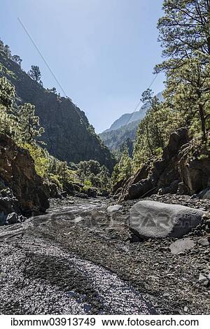 "Stream, Caldera de Taburiente National Park, La Palma, Canary Islands, Spain, Europe" View Large Photo Image Stock Photo - "Stream, Caldera de Taburiente National Park, La Palma, Canary Islands, Spain, Europe". Fotosearch