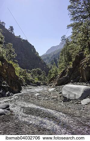Stock Photograph - "Stream, Caldera de Taburiente National Park, La Palma, Canary Islands, Spain, Europe". Fotosearch