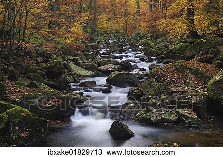 "Stream in autumn, Ilse, Ilsetal valley, Harz, Saxony-Anhalt, Germany, Europe" View Large Photo Image Stock Image - "Stream in autumn, Ilse, Ilsetal valley, Harz, Saxony-Anhalt, Germany, Europe". Fotosearch