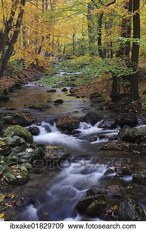 "Stream in autumn, Ilse, Ilsetal valley, Harz, Saxony-Anhalt, Germany, Europe" View Large Photo Image Stock Photo - "Stream in autumn, Ilse, Ilsetal valley, Harz, Saxony-Anhalt, Germany, Europe". Fotosearch