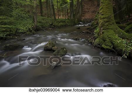 "Stream, Strohner Schweiz, Daun, Vulkaneifel, Rhineland-Palatinate, Germany, Europe" View Large Photo Image Picture - "Stream, Strohner Schweiz, Daun, Vulkaneifel, Rhineland-Palatinate, Germany, Europe". Fotosearch