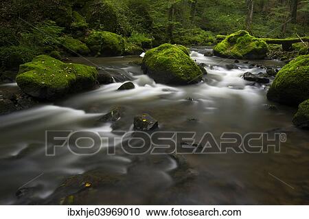Stock Image - "Stream, Strohner Schweiz, Daun, Vulkaneifel, Rhineland-Palatinate, Germany, Europe". Fotosearch