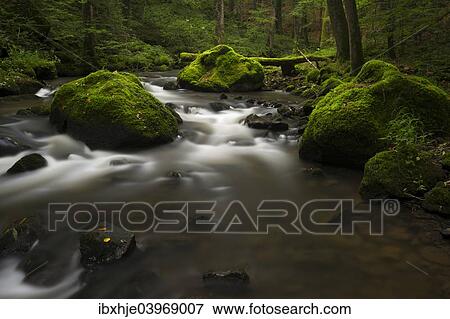 "Stream, Strohner Schweiz, Daun, Vulkaneifel, Rhineland-Palatinate, Germany, Europe" View Large Photo Image Stock Photo - "Stream, Strohner Schweiz, Daun, Vulkaneifel, Rhineland-Palatinate, Germany, Europe". Fotosearch