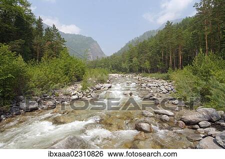 Stock Photograph - "Stream through Sayan Mountains, Arshan, Tunkinsky District, Republic of Buryatia, Siberia, Russian Federation, Eurasia". Fotosearch