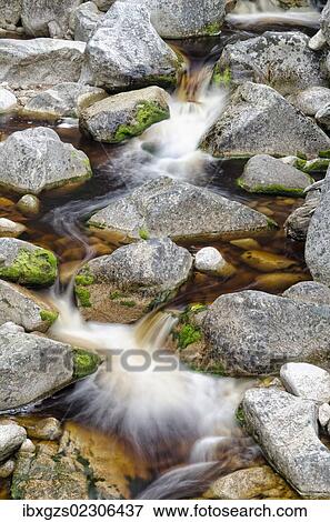 "Stream with brown water, coloured by plant tannins, condensed proanthocyanidins, Karamea, Kohaihai, South Island, New Zealand, Oceania" View Large Photo Image Stock Photo - "Stream with brown water, coloured by plant tannins, condensed proanthocyanidins, Karamea, Kohaihai, South Island, New Zealand, Oceania". Fotosearch