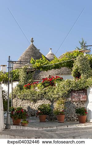 "Street decorated with flowers, in front of Trullo houses, Trulli District, Alberobello, Apulia, Italy, Europe" View Large Photo Image Stock Photograph - "Street decorated with flowers, in front of Trullo houses, Trulli District, Alberobello, Apulia, Italy, Europe". Fotosearch
