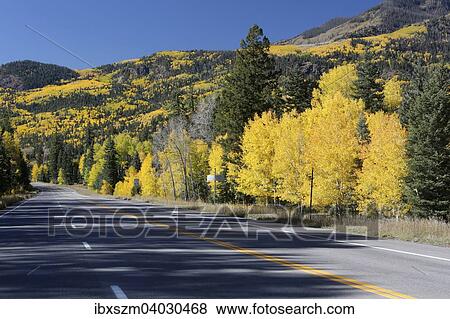 "Stretch of the US 160 road at Wolf Creek Pass during the Indian Summer, Colorado, United States, North America" View Large Photo Image Stock Photo - "Stretch of the US 160 road at Wolf Creek Pass during the Indian Summer, Colorado, United States, North America". Fotosearch