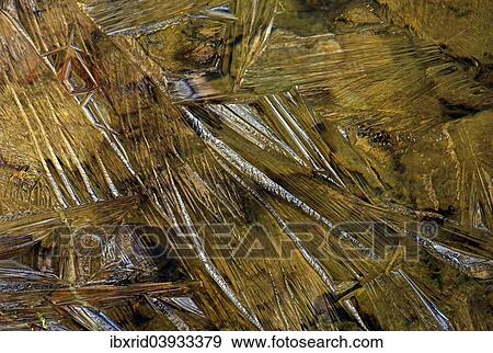 Structures in ice View Large Photo Image Stock Photo - Structures in ice. Fotosearch
