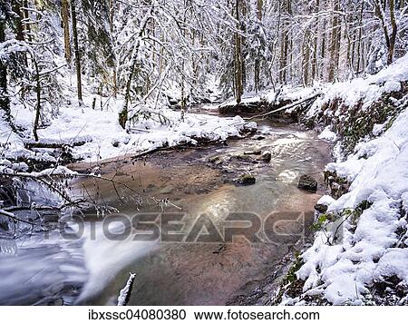 "Strumpfelbach brook in the snowy forest, Swabian-Franconian Forest, Baden-Wurttemberg, Germany, Europe" View Large Photo Image Stock Image - "Strumpfelbach brook in the snowy forest, Swabian-Franconian Forest, Baden-Wurttemberg, Germany, Europe". Fotosearch