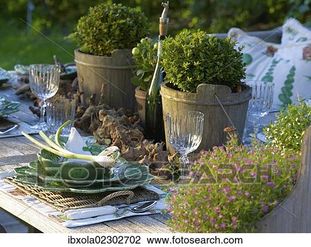 Stylishly laid rustic wooden garden table with fine bone china View Large Photo Image Stock Image - Stylishly laid rustic wooden garden table with fine bone china. Fotosearch