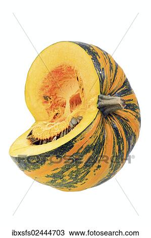 "Styrian Oil Pumpkin, pumpkin seeds and pulp" View Large Photo Image Stock Image - "Styrian Oil Pumpkin, pumpkin seeds and pulp". Fotosearch