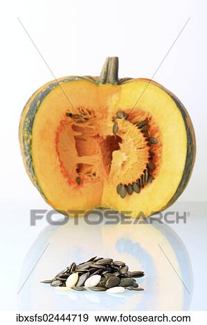 "Styrian Oil Pumpkin, pumpkin seeds and pulp" View Large Photo Image Stock Photo - "Styrian Oil Pumpkin, pumpkin seeds and pulp". Fotosearch