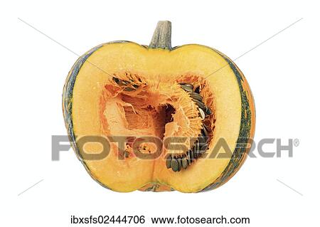 "Styrian Oil Pumpkin, pumpkin seeds and pulp" View Large Photo Image Stock Photograph - "Styrian Oil Pumpkin, pumpkin seeds and pulp". Fotosearch