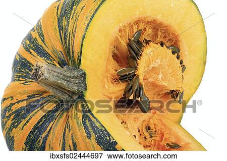 "Styrian Oil Pumpkin, seeds and pulp" View Large Photo Image Stock Photo - "Styrian Oil Pumpkin, seeds and pulp". Fotosearch
