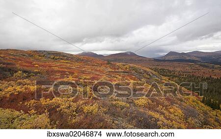 Picture - "Subalpine tundra, Indian summer, autumn, near Fish Lake, Yukon Territory, Canada, North America". Fotosearch