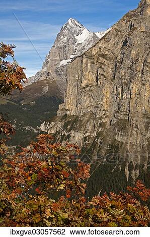 Stock Image - "Summit of Eiger Mountain in autumn, Murren, Berner Oberland,, Switzerland, Europe". Fotosearch
