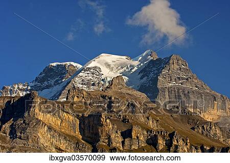 "Summit of Jungfrau Mountain, rear, and Silberhorn Mountain, seen from Muerren, Murren, Bernese Oberland, Canton of Bern, Switzerland, Europe" View Large Photo Image Stock Photo - "Summit of Jungfrau Mountain, rear, and Silberhorn Mountain, seen from Muerren, Murren, Bernese Oberland, Canton of Bern, Switzerland, Europe". Fotosearch