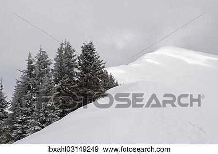 "Summit ridge of Schoenalmjoch in the Karwendel Mountains, Karwendel Mountains, Hinterriss, Tyrol, Austria, Europe" View Large Photo Image Stock Photo - "Summit ridge of Schoenalmjoch in the Karwendel Mountains, Karwendel Mountains, Hinterriss, Tyrol, Austria, Europe". Fotosearch