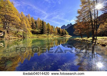 "Sun and autumnally coloured larch trees reflected in lake Lei da Palpuogna, Albula Pass, Canton of Graubunden, Switzerland, Europe" View Large Photo Image Stock Image - "Sun and autumnally coloured larch trees reflected in lake Lei da Palpuogna, Albula Pass, Canton of Graubunden, Switzerland, Europe". Fotosearch