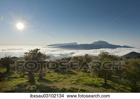 "Sun over a landscape with trees, Mount Piton de Neiges at back, Plaine des Cafres, near Bourg-Murat, La Reunion, Reunion, France, Africa" View Large Photo Image Picture - "Sun over a landscape with trees, Mount Piton de Neiges at back, Plaine des Cafres, near Bourg-Murat, La Reunion, Reunion, France, Africa". Fotosearch