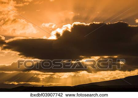 "Sun rays breaking through the clouds in the evening light, near Barrydale, Route 62, Western Cape, South Africa, Africa" View Large Photo Image Stock Image - "Sun rays breaking through the clouds in the evening light, near Barrydale, Route 62, Western Cape, South Africa, Africa". Fotosearch