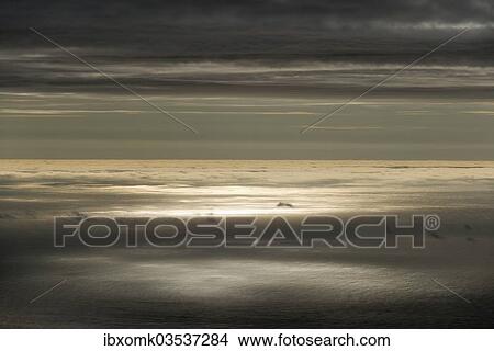 "Sun reflecting on the surface of the sea, clouds, Eysturoy, Faroe Islands, Denmark, Europe" View Large Photo Image Picture - "Sun reflecting on the surface of the sea, clouds, Eysturoy, Faroe Islands, Denmark, Europe". Fotosearch
