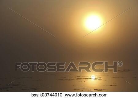 "Sun, reflection, foggy mood, Federsee lake, near Bad Buchau, Baden-Wurttemberg, Germany, Europe" View Large Photo Image Stock Image - "Sun, reflection, foggy mood, Federsee lake, near Bad Buchau, Baden-Wurttemberg, Germany, Europe". Fotosearch