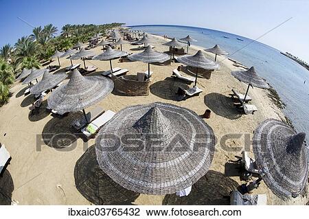 "Sun umbrellas on a beach of Marsa Alam, Egypt, Africa" View Large Photo Image Stock Image - "Sun umbrellas on a beach of Marsa Alam, Egypt, Africa". Fotosearch