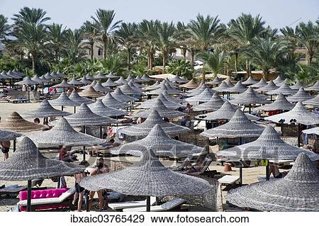 "Sun umbrellas on a beach of Marsa Alam, Egypt, Africa" View Large Photo Image Stock Photo - "Sun umbrellas on a beach of Marsa Alam, Egypt, Africa". Fotosearch