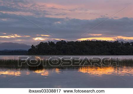 "Sunrise at Lake Mahinapua, Ruatapu, West Coast Region, New Zealand, Oceania" View Large Photo Image Stock Photo - "Sunrise at Lake Mahinapua, Ruatapu, West Coast Region, New Zealand, Oceania". Fotosearch