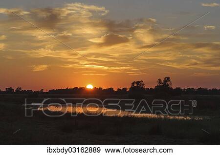 "Sunrise at the Meerbruchswiesen at Steinhuder Meer or Lake Steinhude, Winzlar, Steinhuder Meer, Lower Saxony, Germany, Europe" View Large Photo Image Stock Photo - "Sunrise at the Meerbruchswiesen at Steinhuder Meer or Lake Steinhude, Winzlar, Steinhuder Meer, Lower Saxony, Germany, Europe". Fotosearch