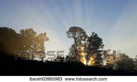 "Sunrise behind trees, Limbach, Burgenland, Austria, Europe" View Large Photo Image Stock Image - "Sunrise behind trees, Limbach, Burgenland, Austria, Europe". Fotosearch