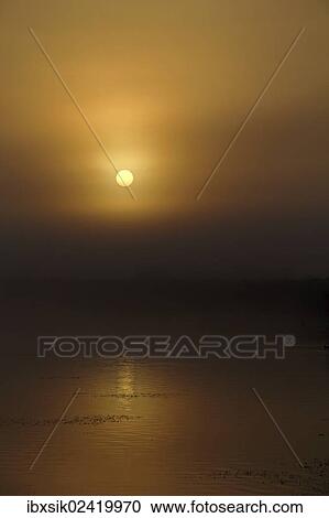 "Sunrise in fog with a reflection, Federsee lake, morning mood, Upper Swabia, Baden-Wuerttemberg, Germany, Europe" View Large Photo Image Stock Image - "Sunrise in fog with a reflection, Federsee lake, morning mood, Upper Swabia, Baden-Wuerttemberg, Germany, Europe". Fotosearch