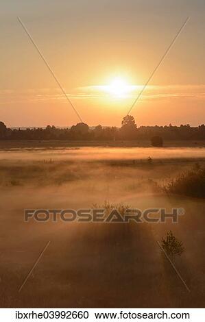 "Sunrise in Recker Moor with ground fog, Recke, North Rhine-Westphalia, Germany, Europe" View Large Photo Image Stock Image - "Sunrise in Recker Moor with ground fog, Recke, North Rhine-Westphalia, Germany, Europe". Fotosearch