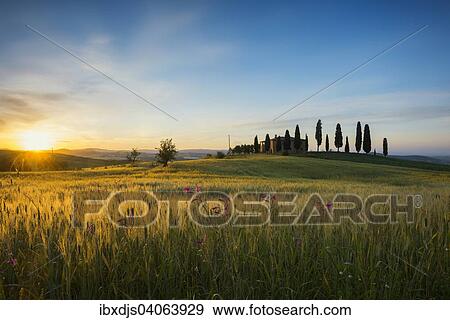"Sunrise, landscape with farmhouse and cypress trees, near Pienza, Val d'Orcia, Province of Siena, Tuscany, Italy, Europe" View Large Photo Image Stock Photo - "Sunrise, landscape with farmhouse and cypress trees, near Pienza, Val d'Orcia, Province of Siena, Tuscany, Italy, Europe". Fotosearch