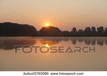 "Sunrise over a pond landscape, Herbsleben, Thuringia, Germany, Europe" View Large Photo Image Stock Photo - "Sunrise over a pond landscape, Herbsleben, Thuringia, Germany, Europe". Fotosearch
